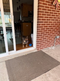 Great fenced back yard saw several deer in other neighborhood yards!