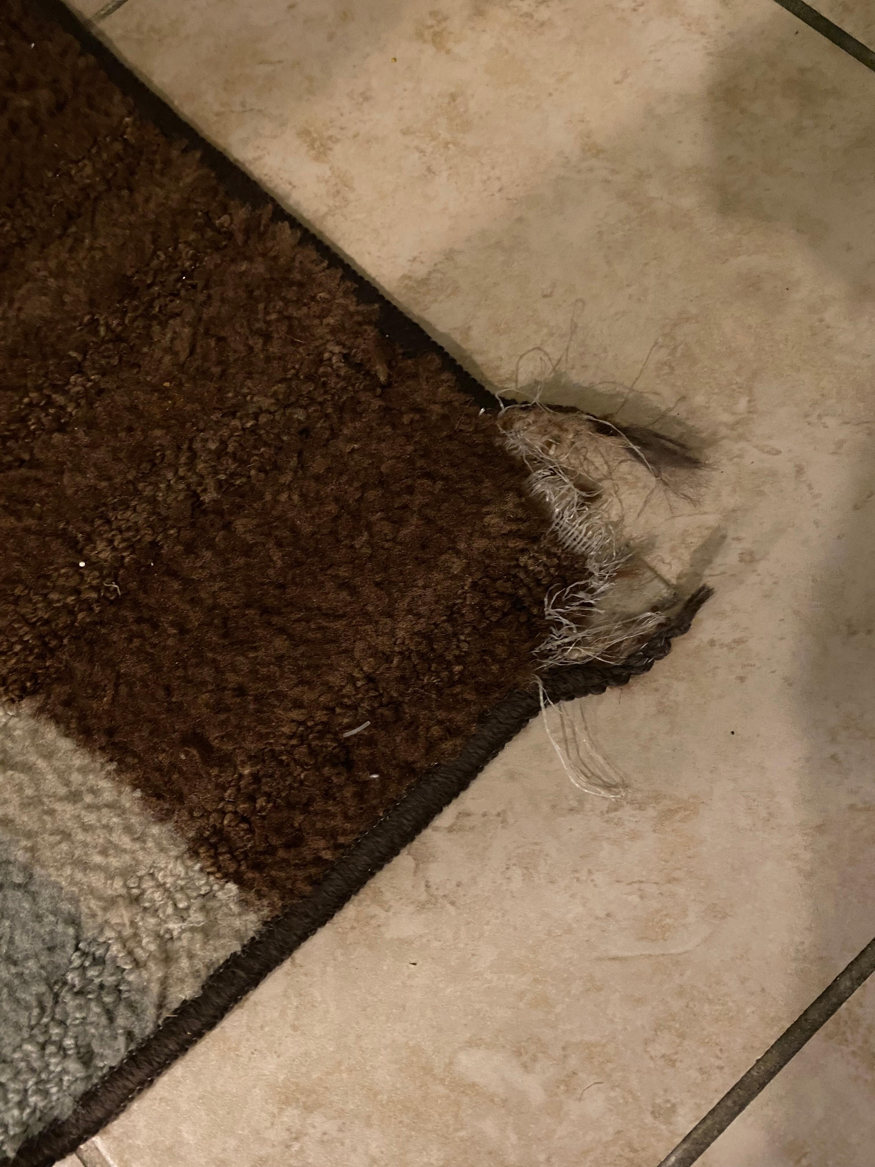 Dining room rug