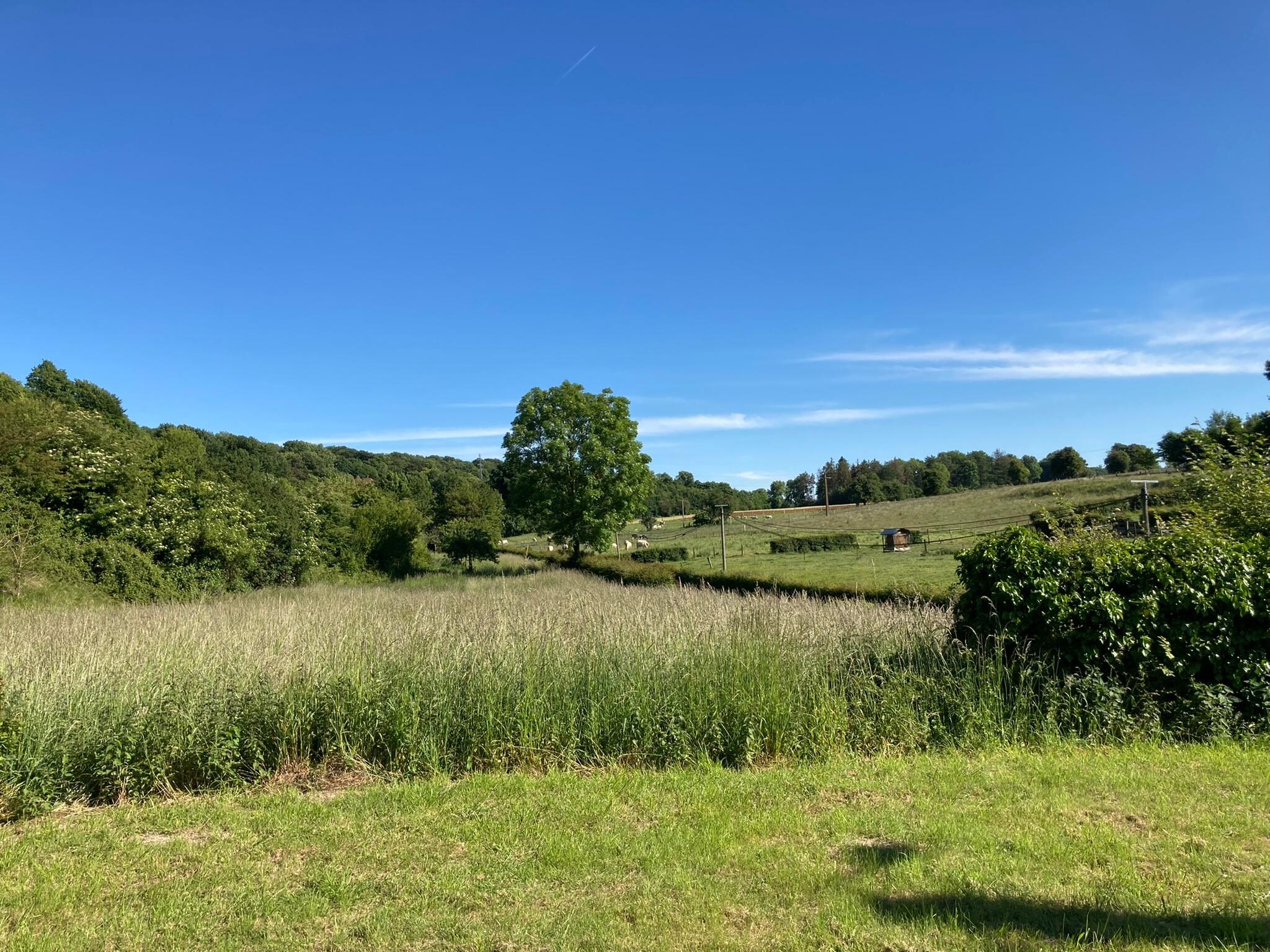 View from field where I walked my dog. Also contains swings for children