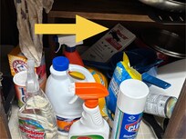 Mouse traps under the sink visible as soon as you open the door.