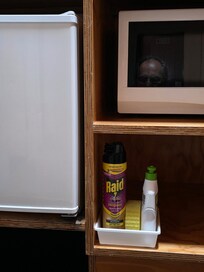 Upon walking in and seey a spray can of RAID make one aa bit apprehensive. We did not encounter any insects in February, but who know at other times.