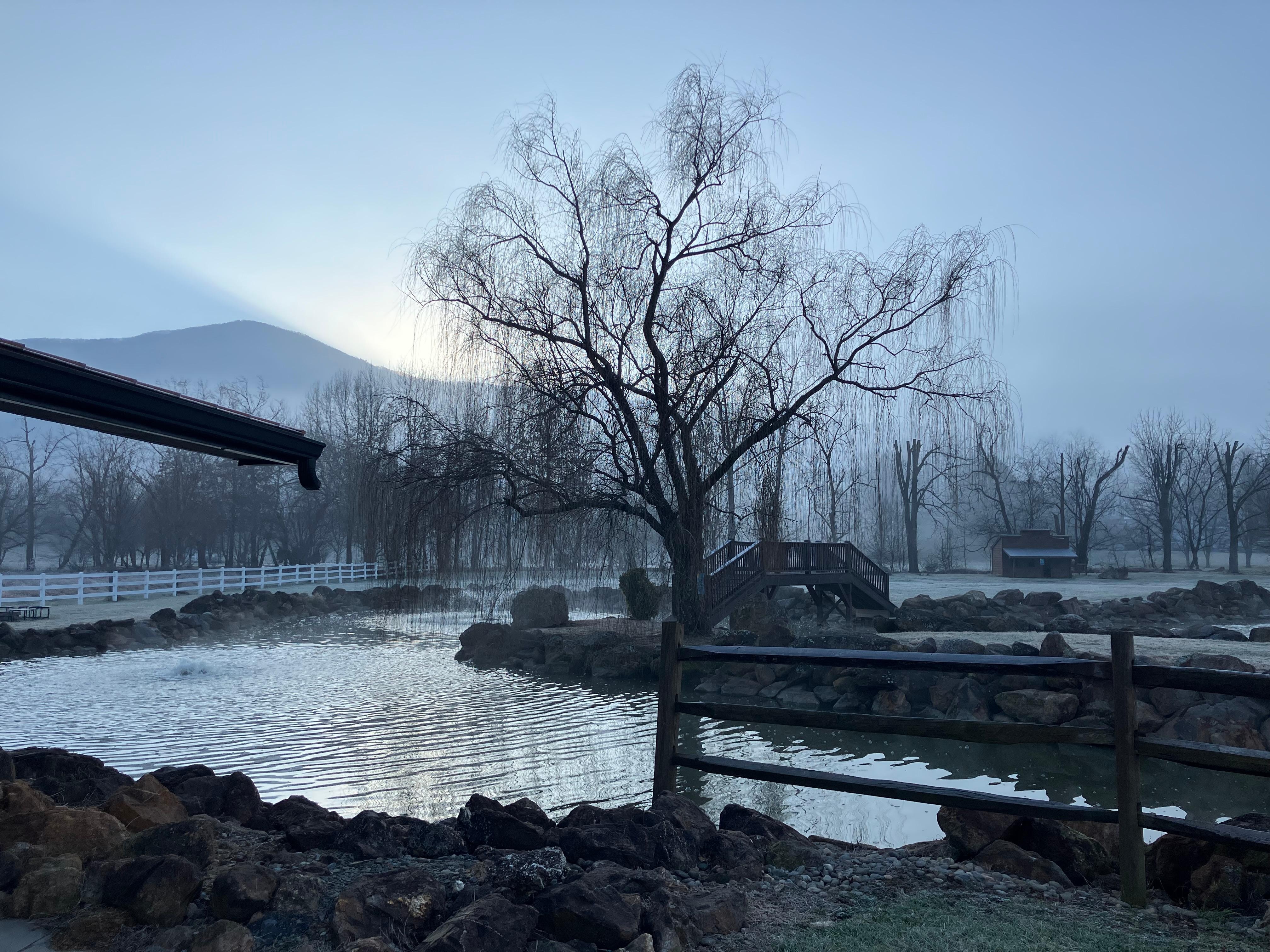 Beautiful view from the house 