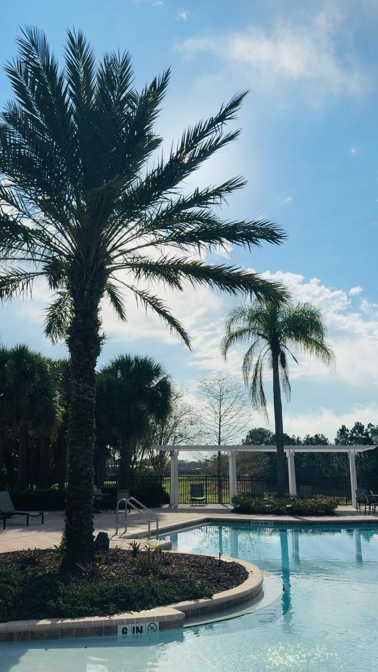Neighborhood pool, gorgeous and relaxing.