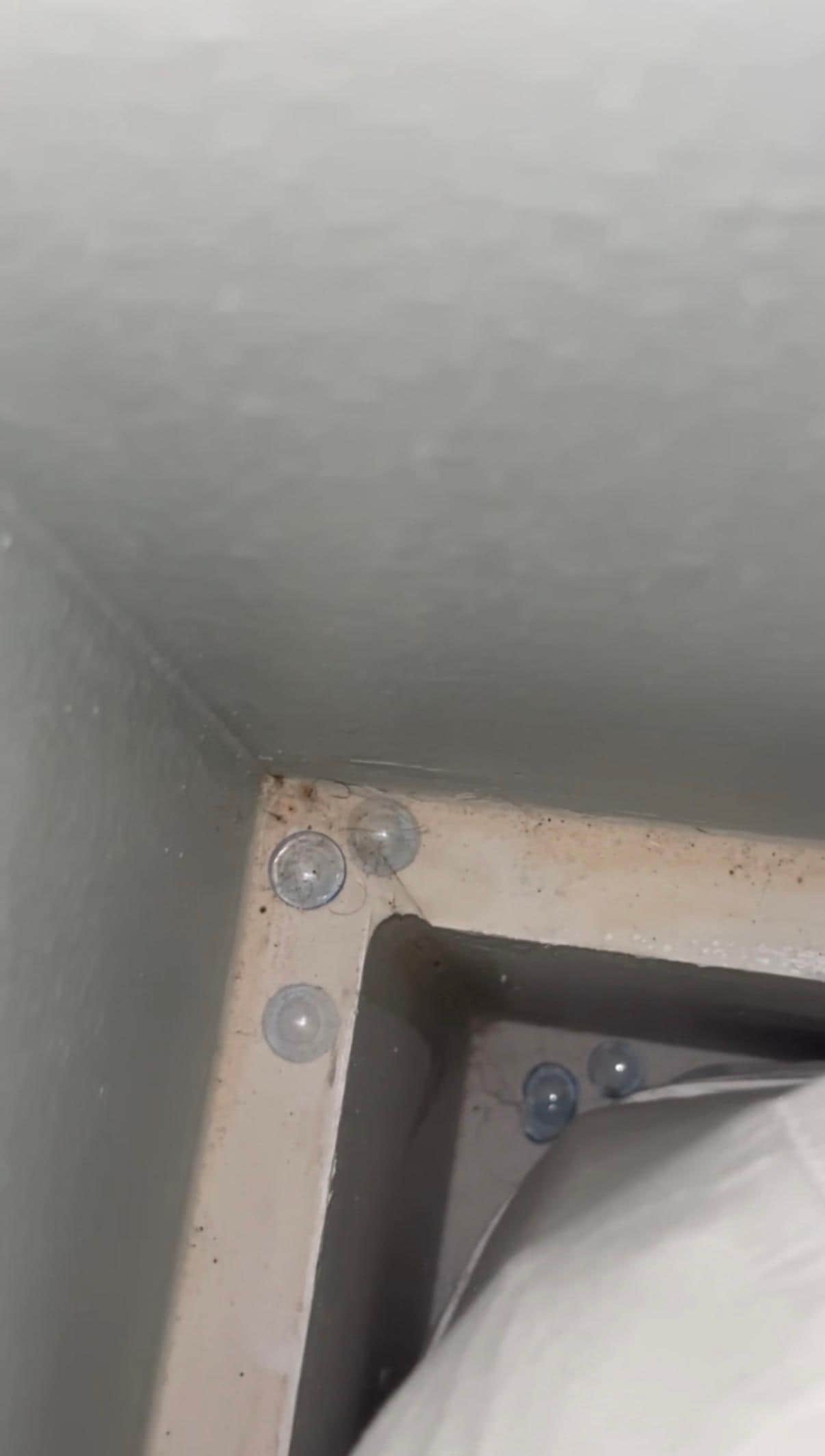 Contact lens corner of bed