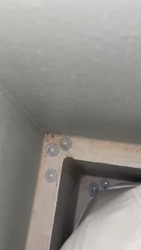 Contact lens corner of bed