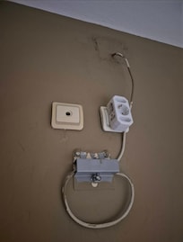 The TV