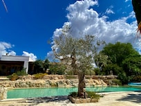 Pool and garden