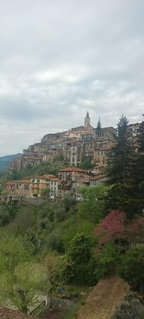 Village