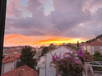 View from other window in dining area