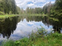 Eisweiher am Wanderweg  Hinterzarten-Titisee
