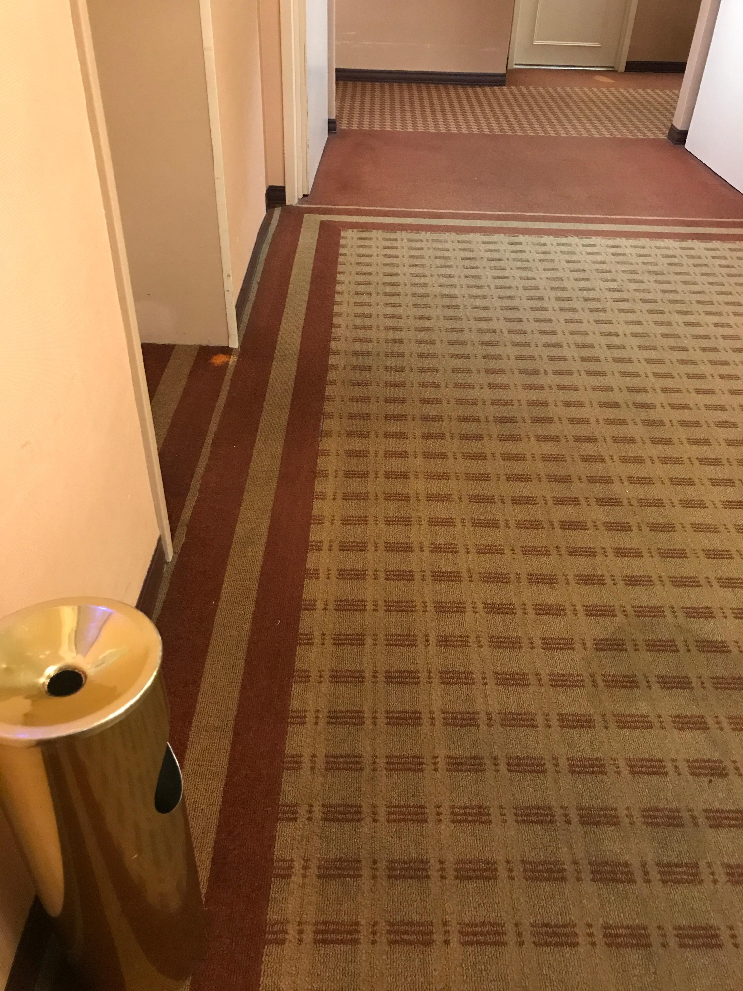 Dirty carpets, stained, dark, etc