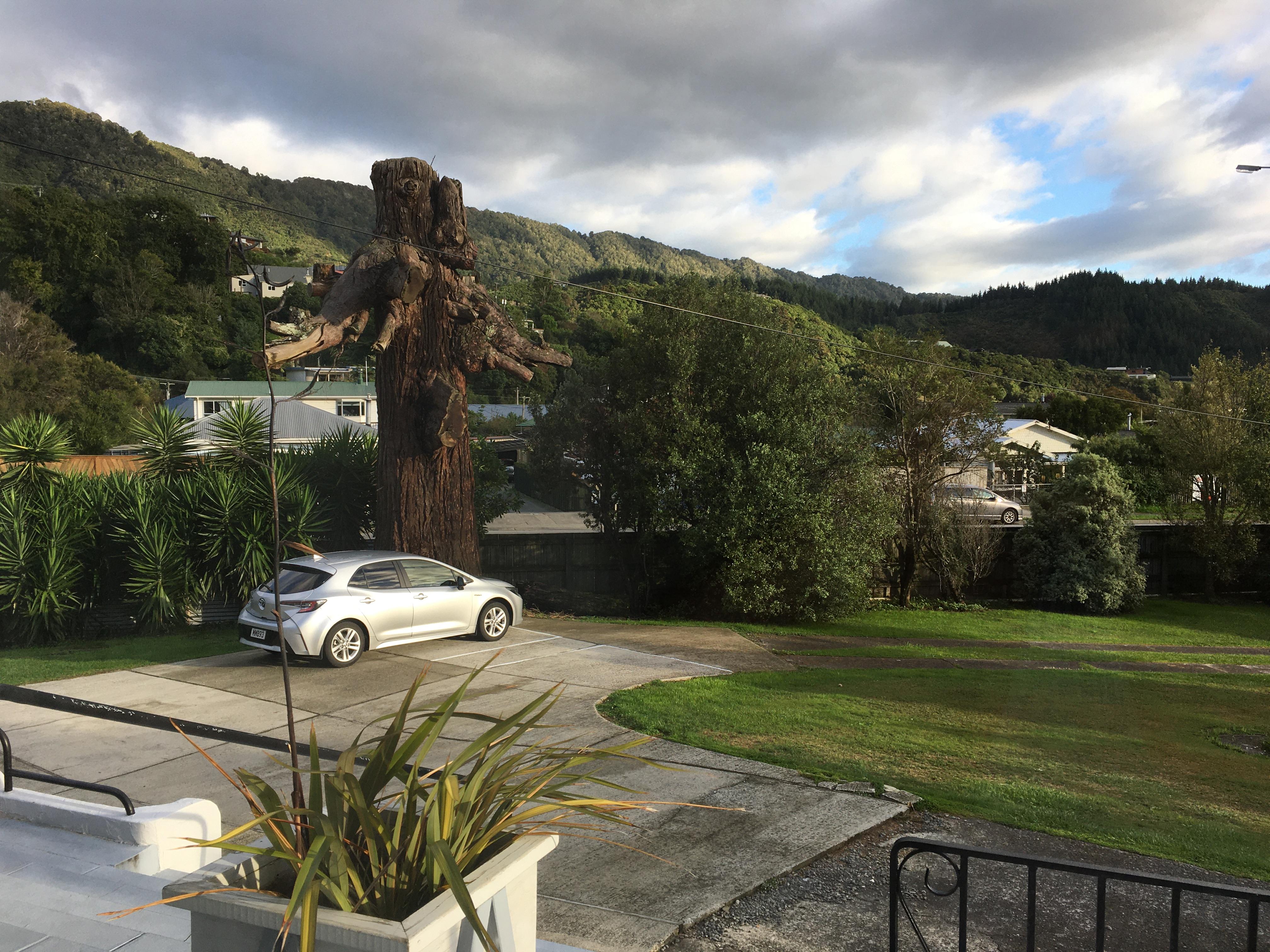 View outside our window of the yard.