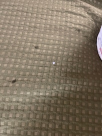 Cigarette burns in the bedding