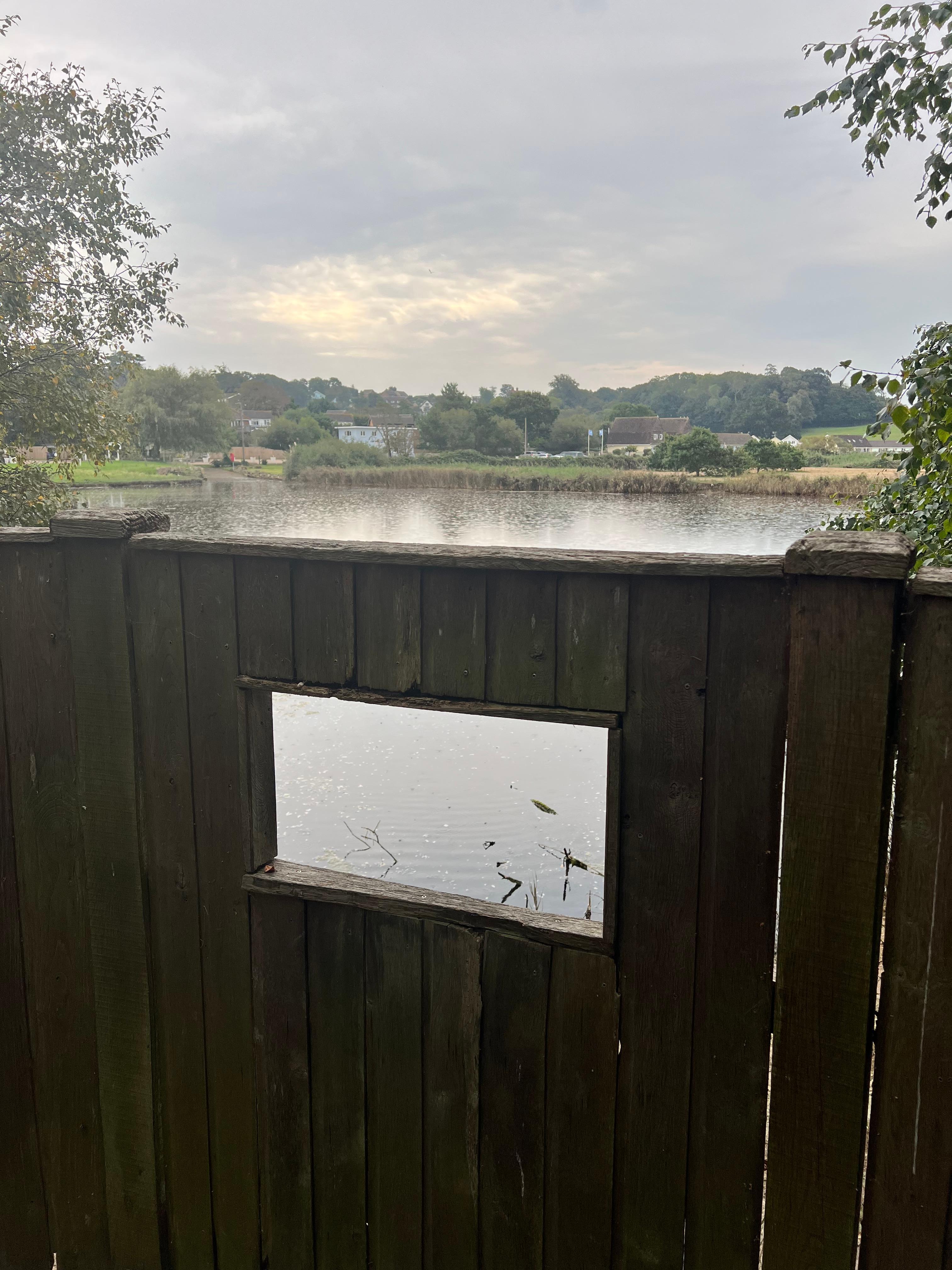 View of the lake from the hide near by 