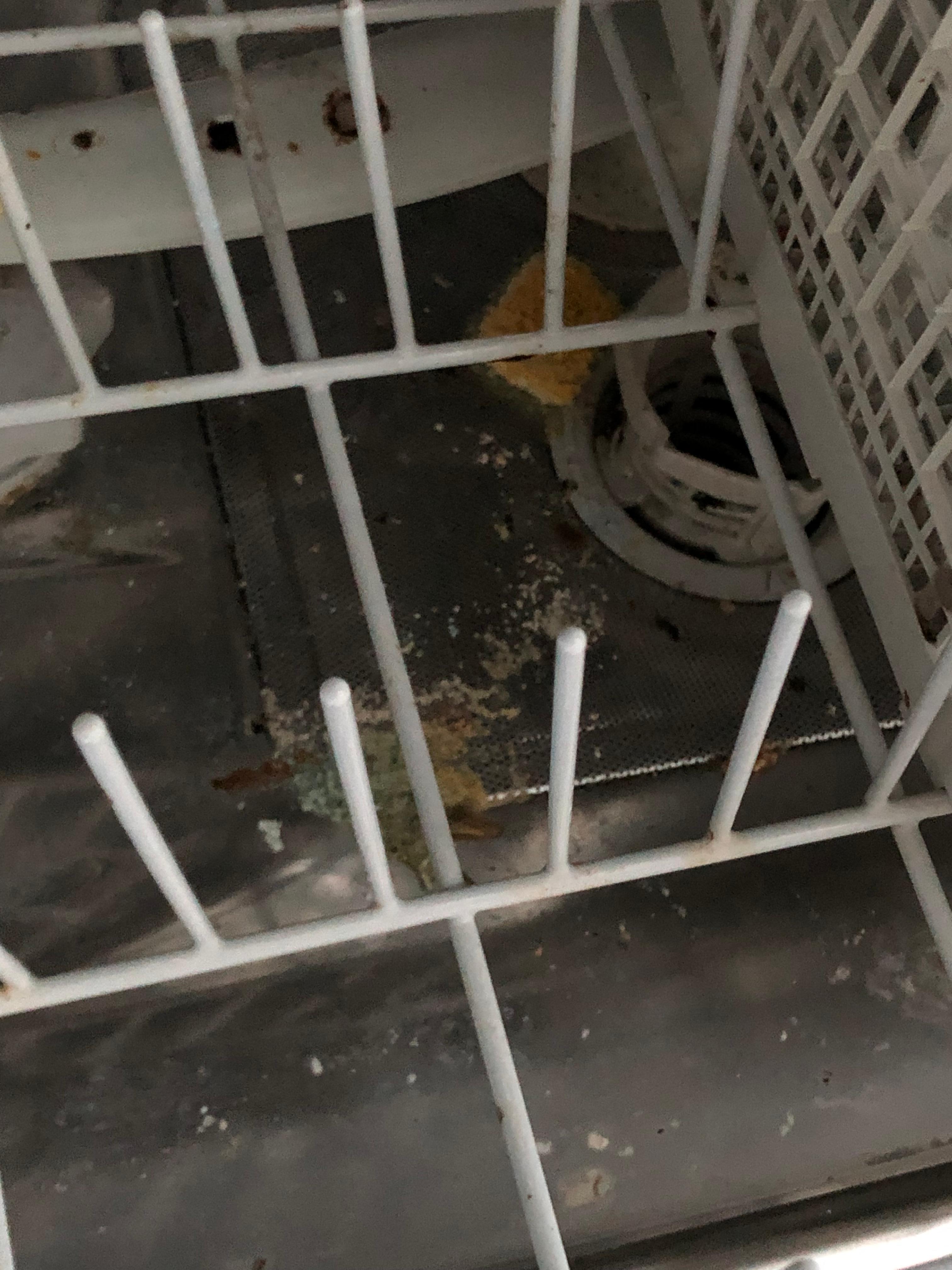 Dishwasher had food and stunk sour! When I attempted to rinse it through I found out 1) the door doesn’t fully open and 2) it doesn’t work anyway! 