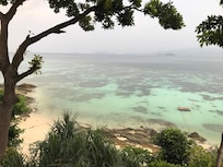 View at Cliff Lipe