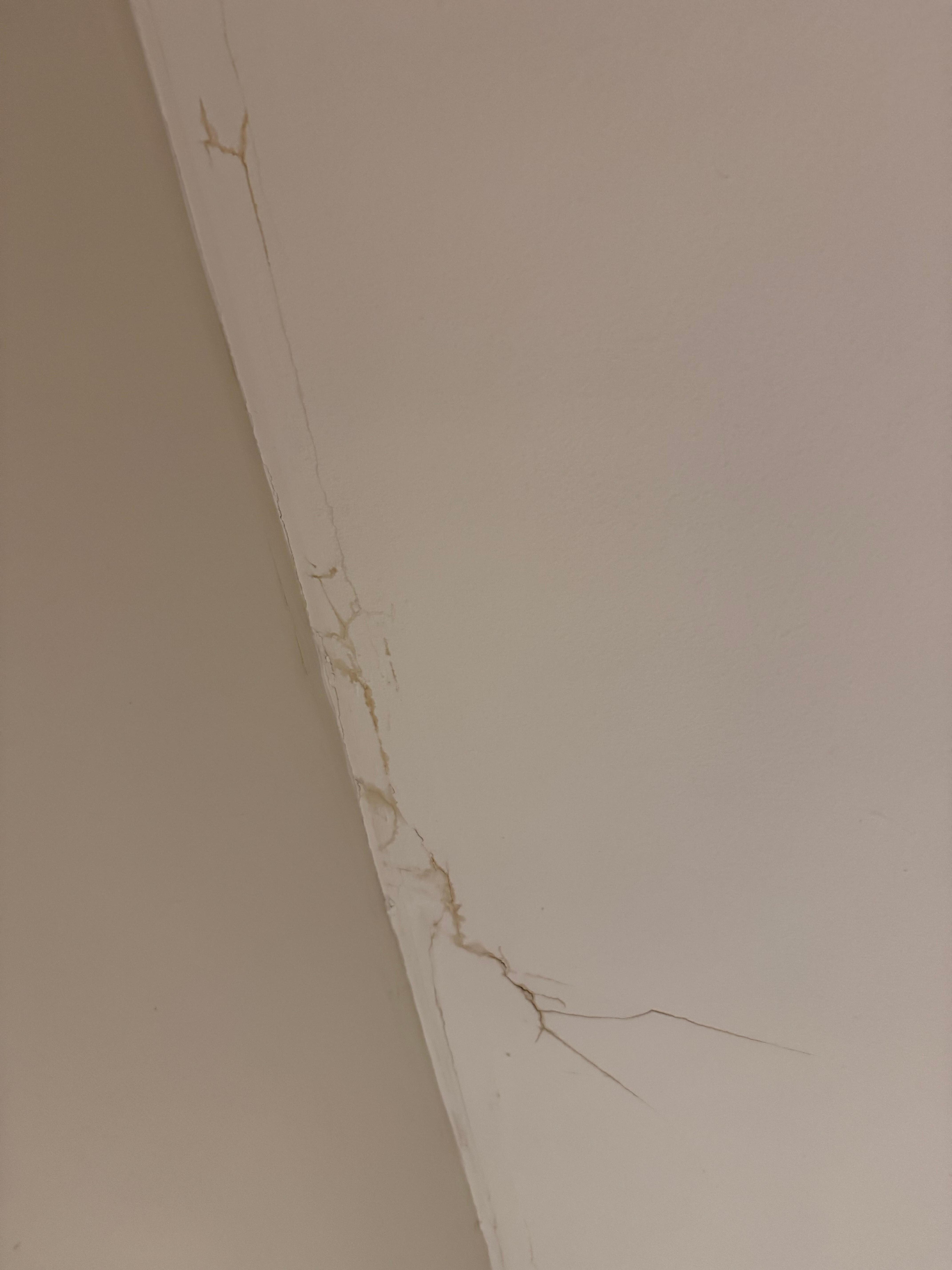 Roof stains from leaks 