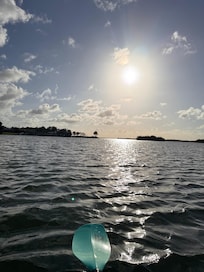Went kayaking in the bay from the house!