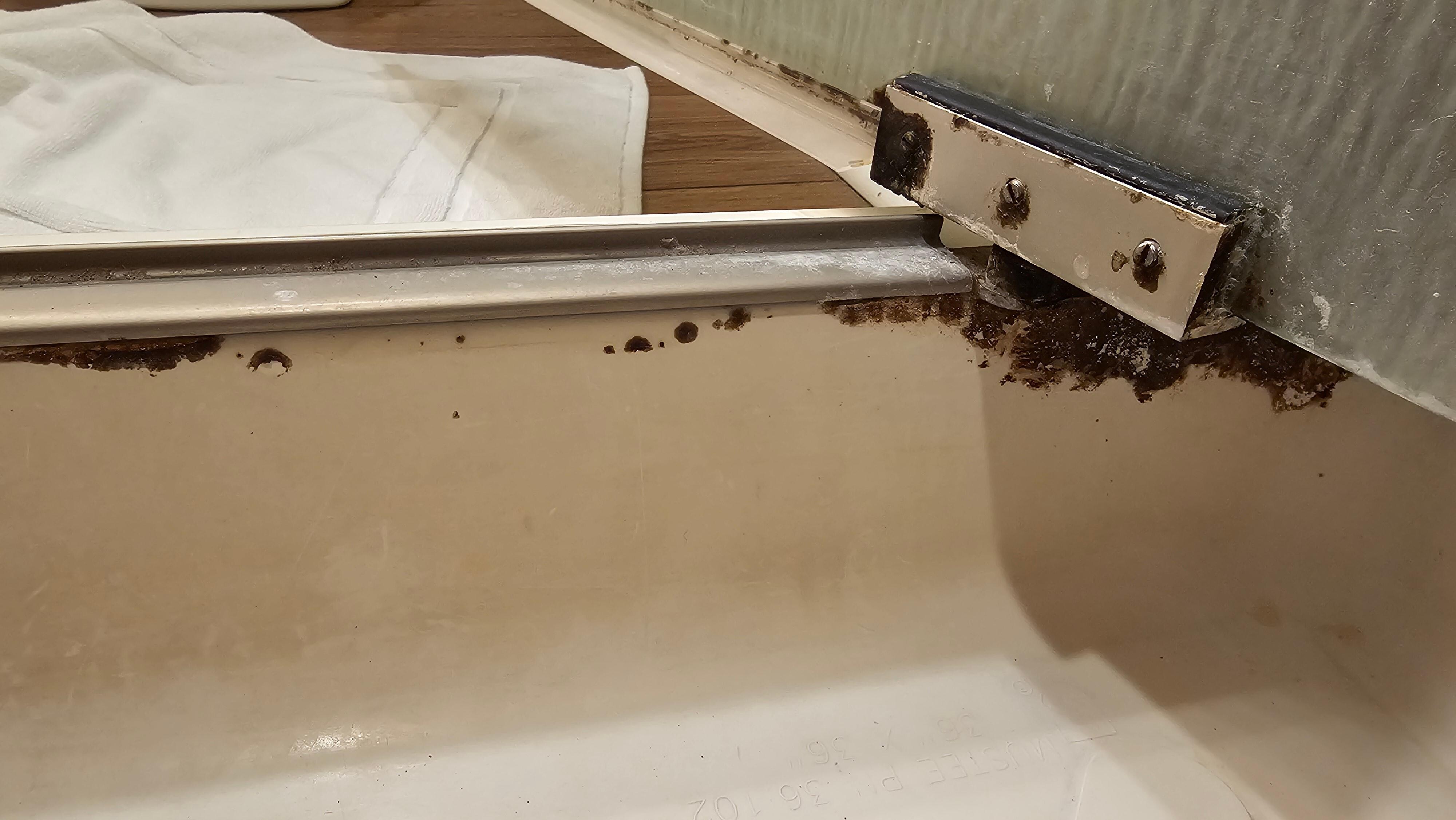 Mold in the shower.