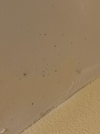 Mold