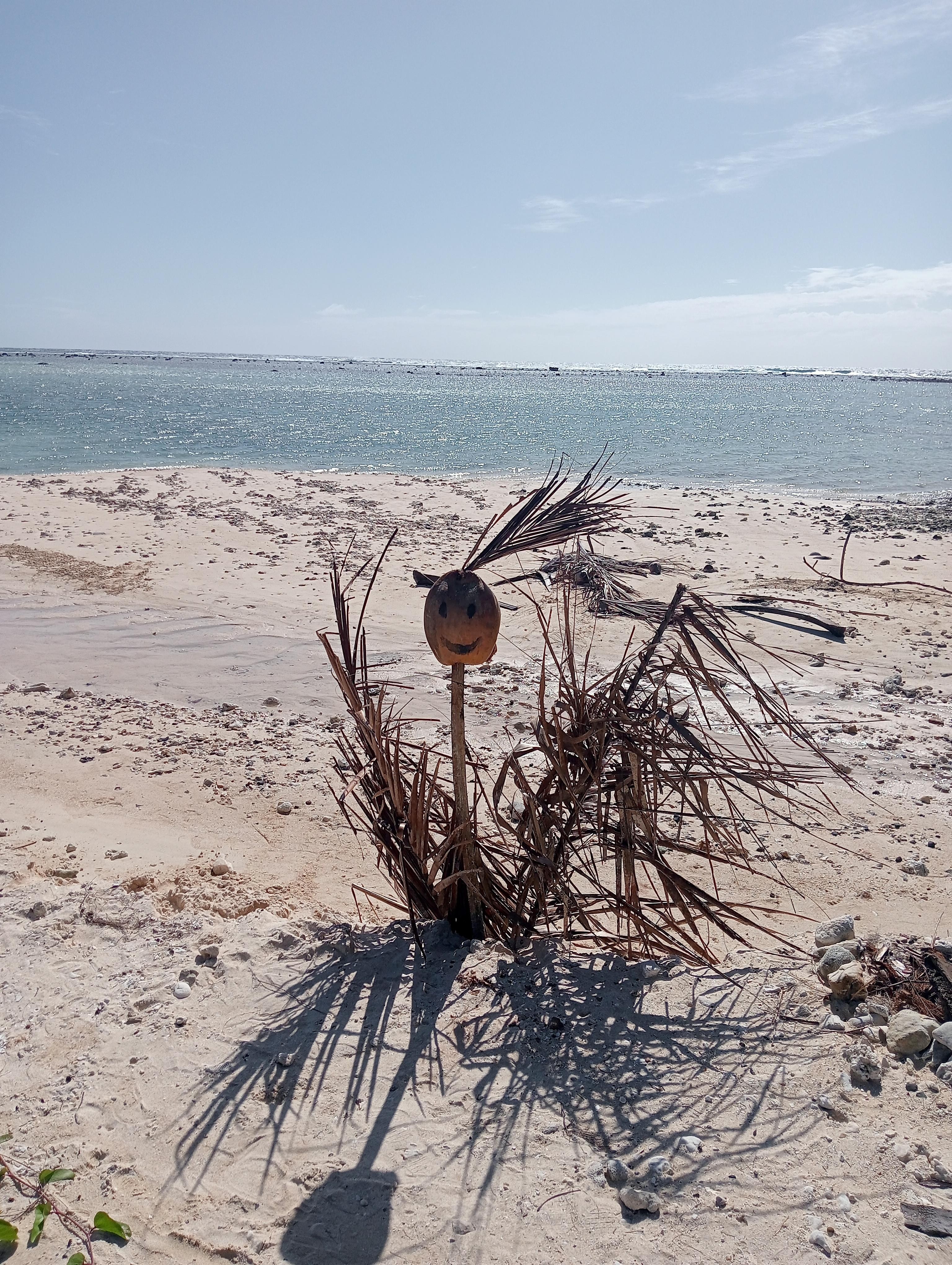 Wilson at the villa beach