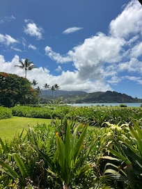 Hanalei Bay