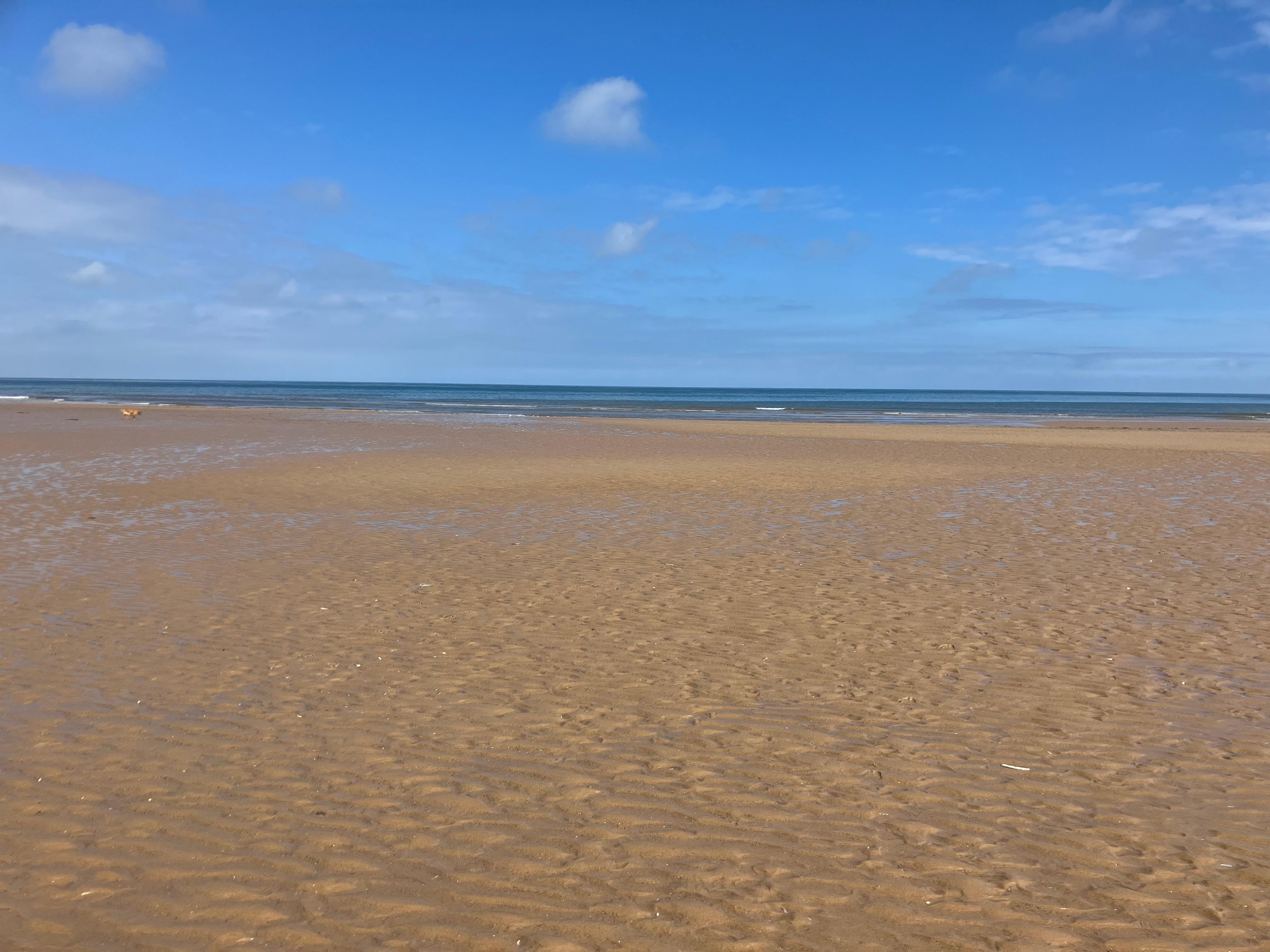 Holkam beach