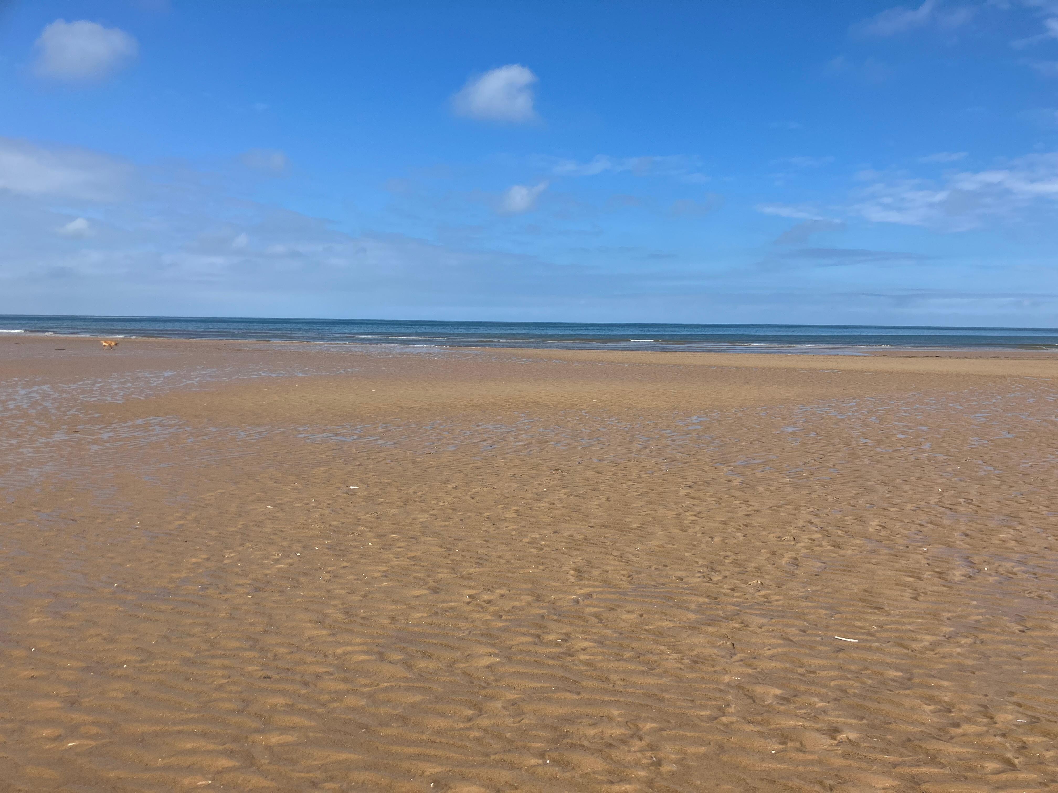 Holkam beach