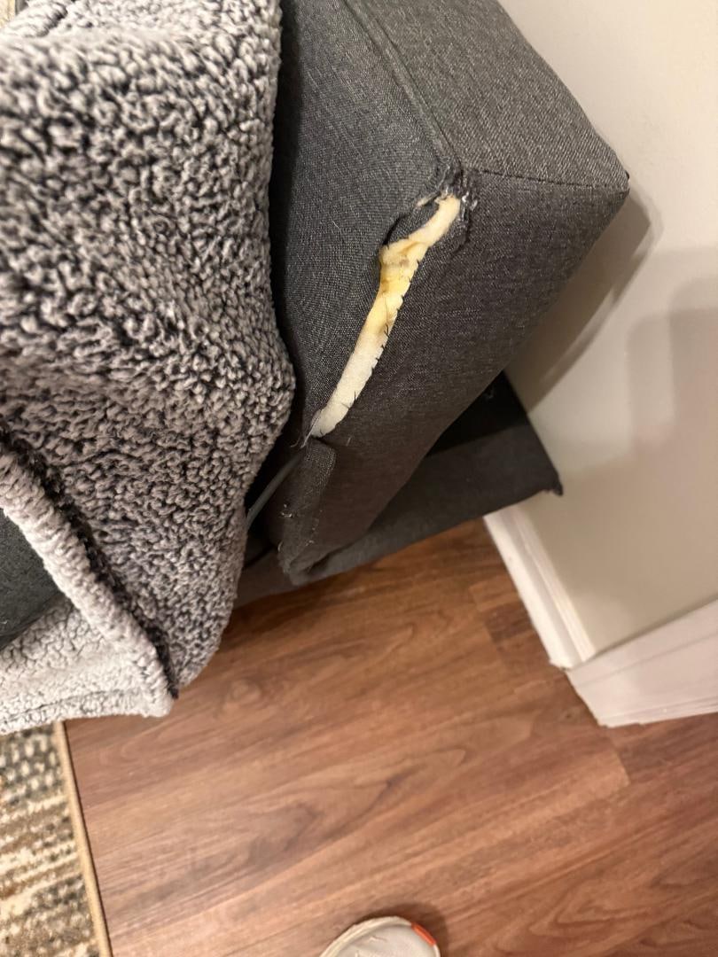 Representative of the Furniture