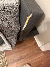 Representative of the Furniture