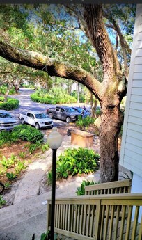View from our front door porch shows the beauty of nature.