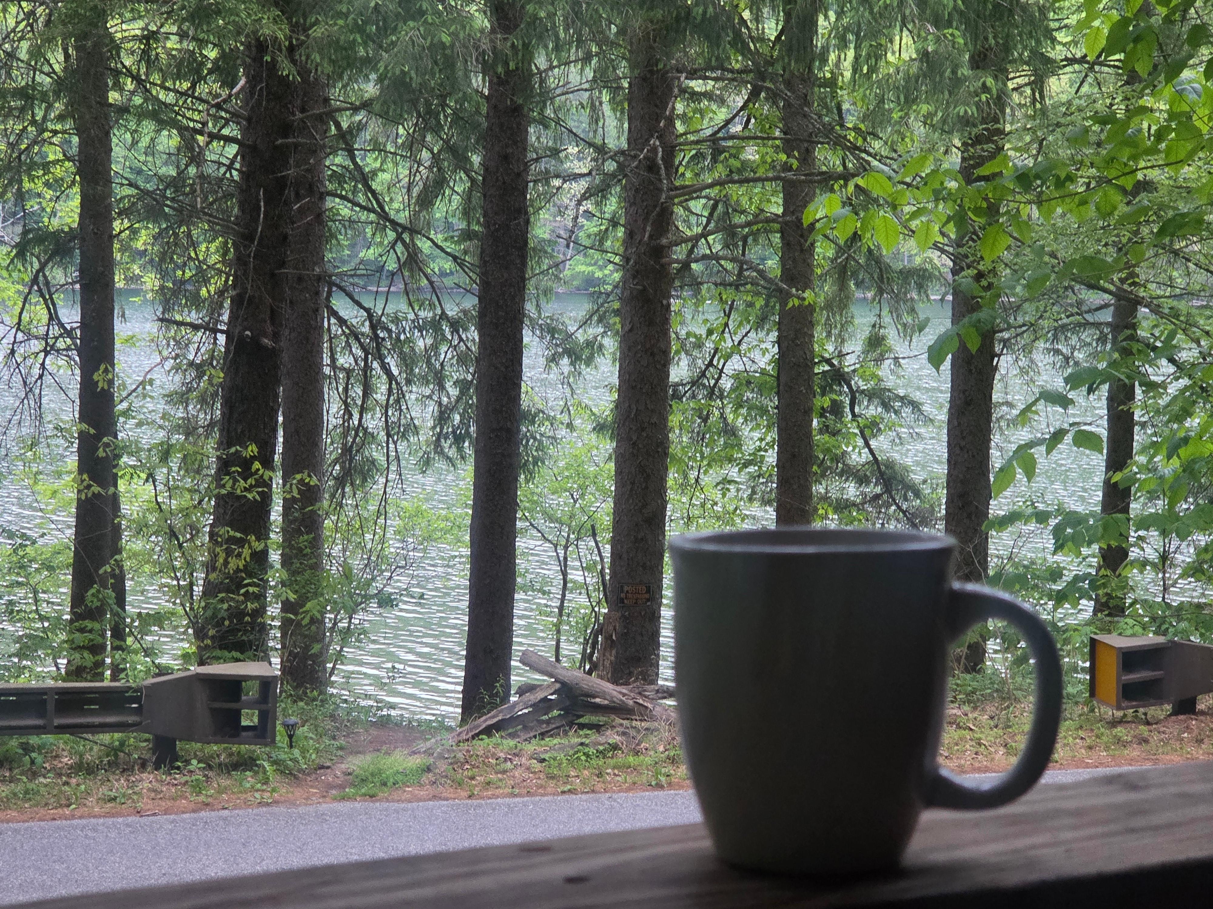 Quiet cup of coffee in the morning.