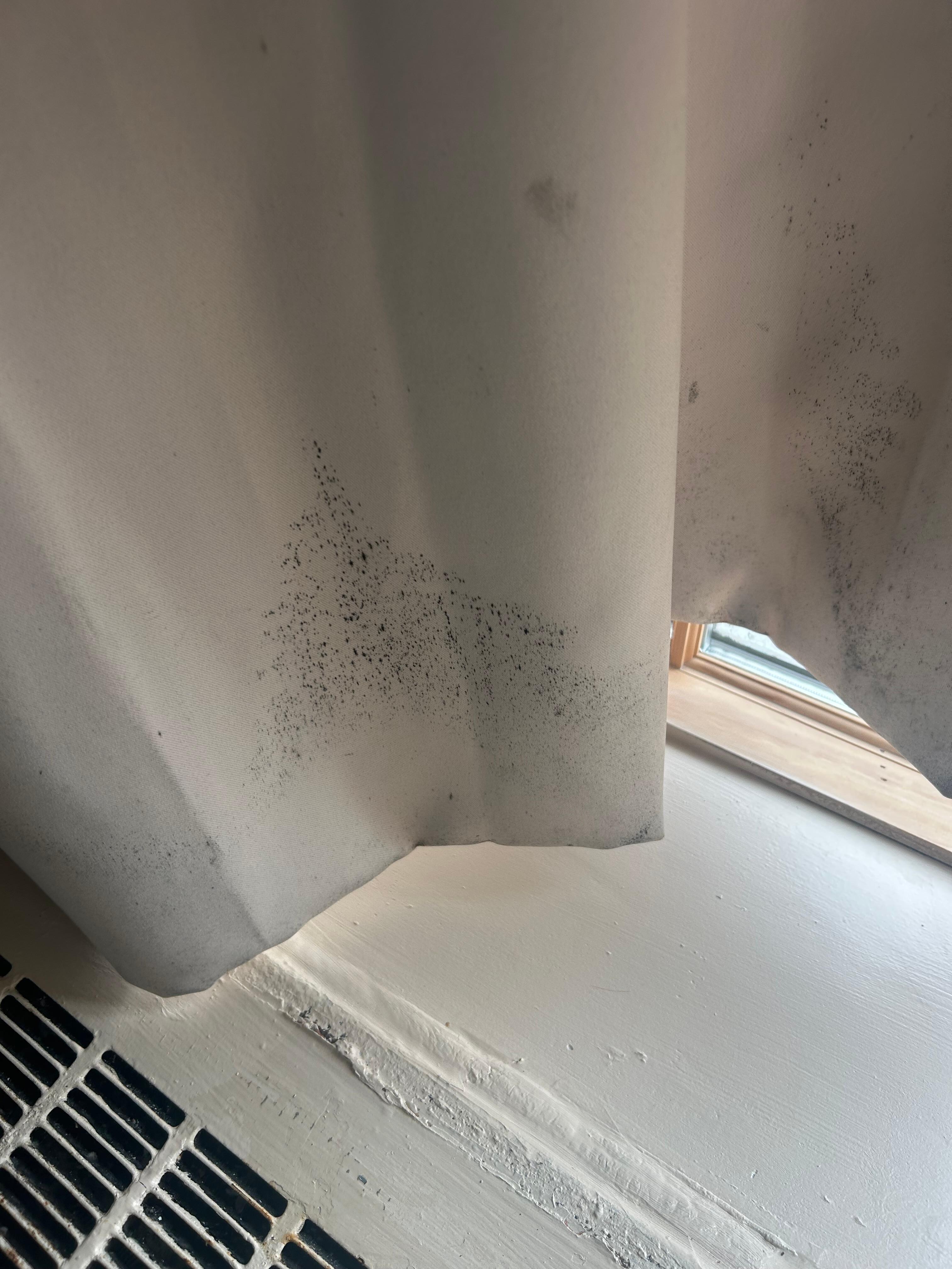 The drapes covered in black mold