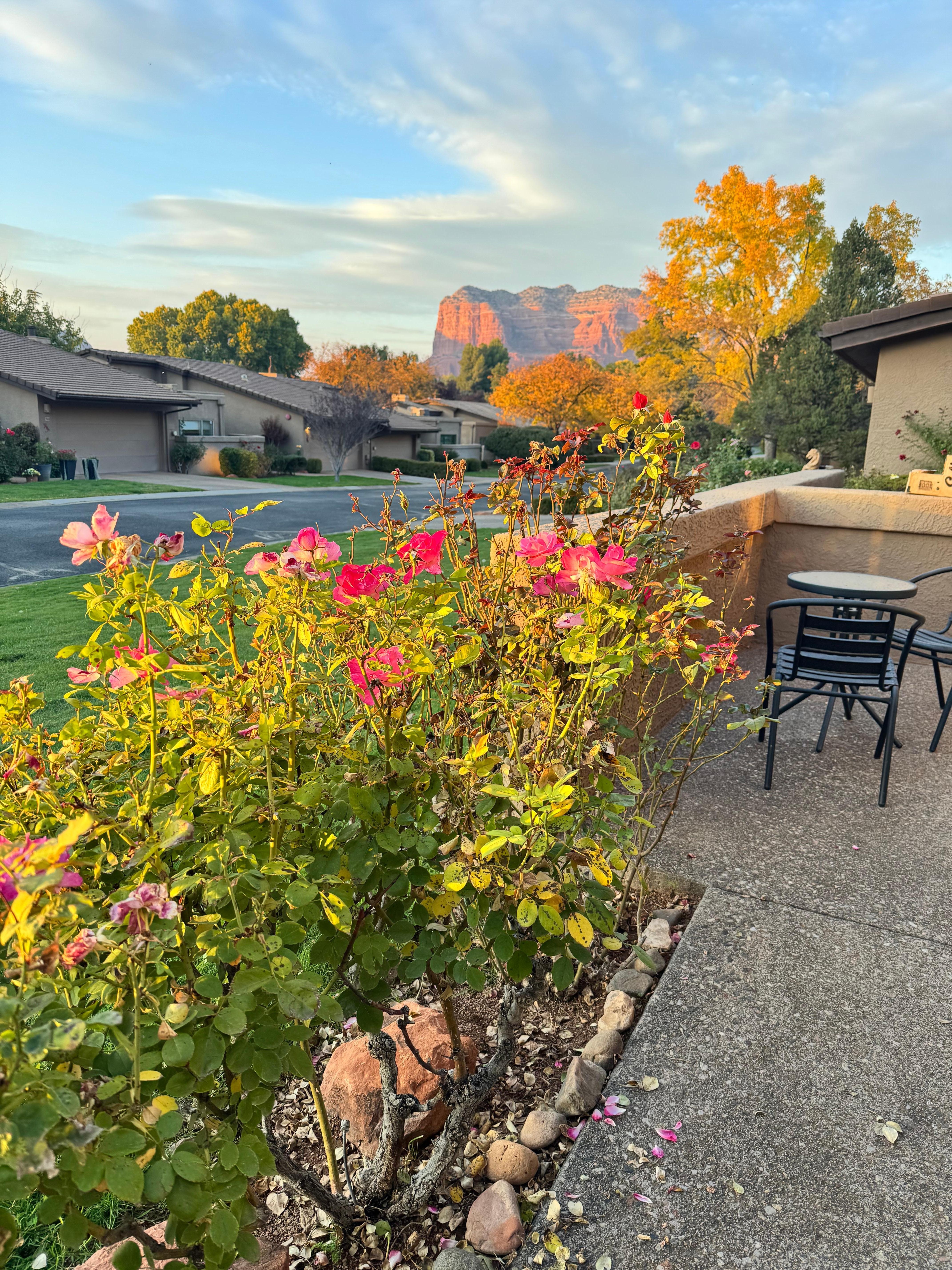 View from garage entrance