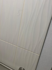 Hair on bathroom wall