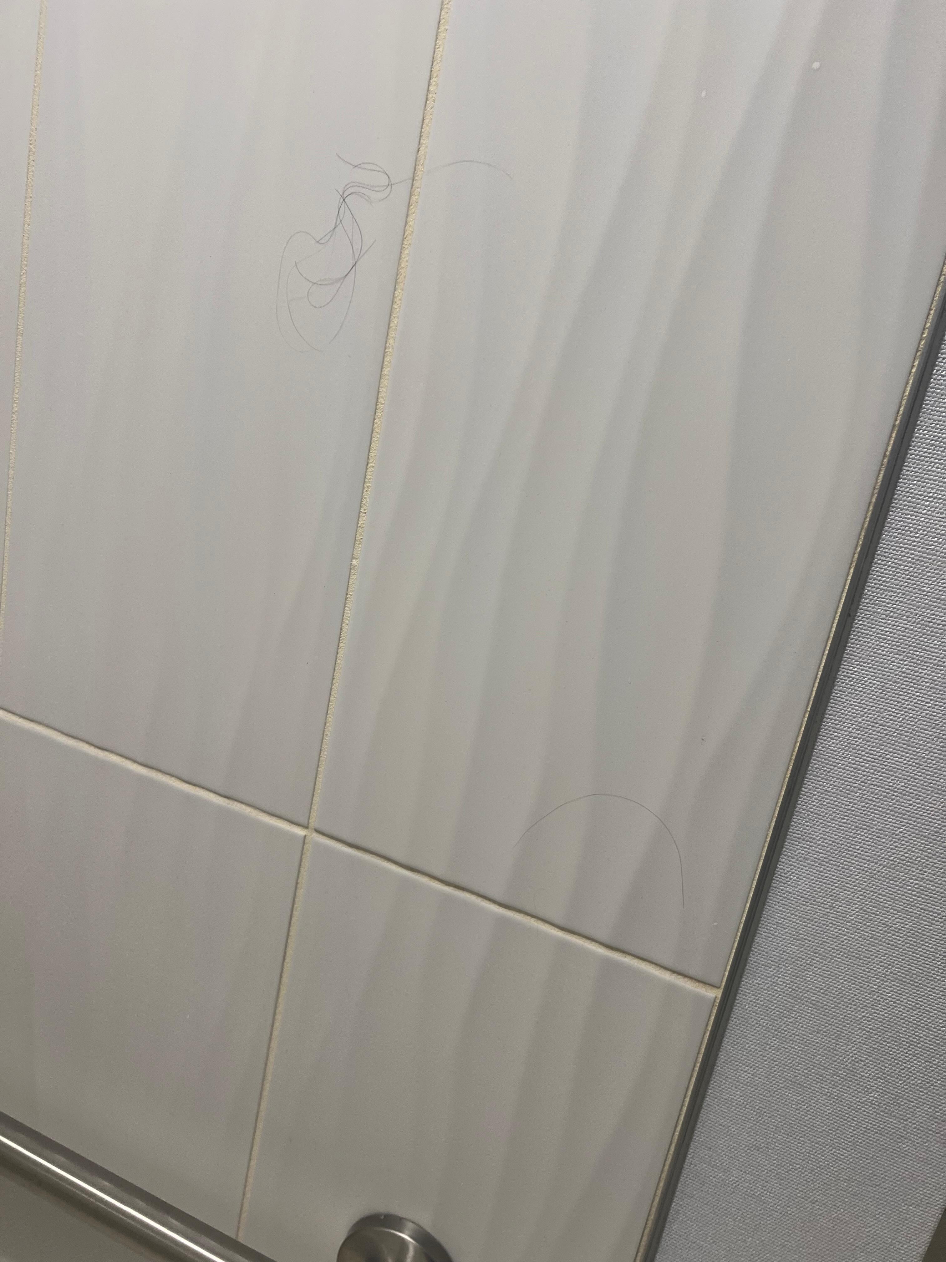 Hair on bathroom wall