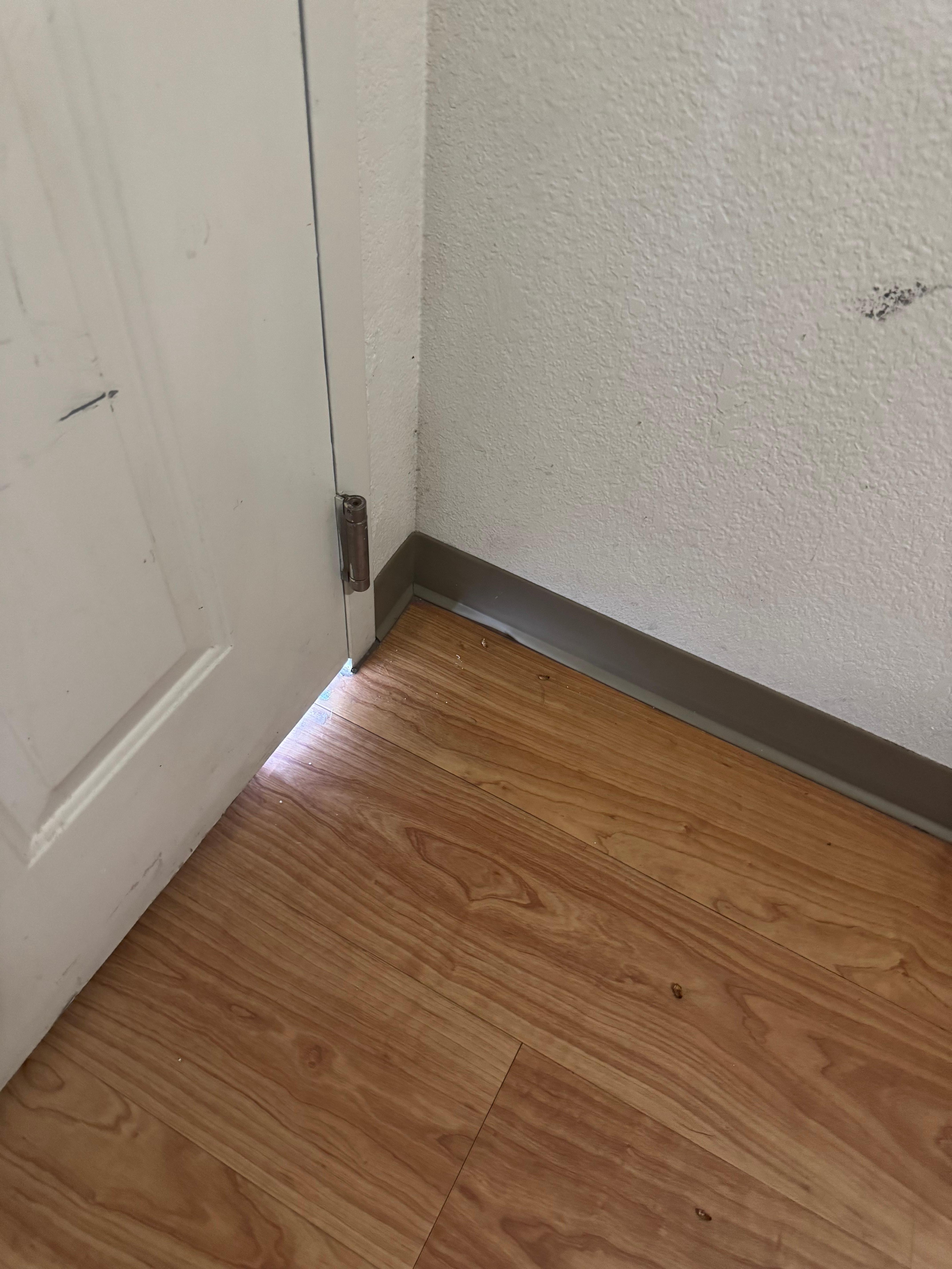 Roaches near front door