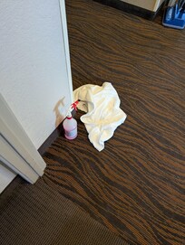 The cleaning products left behind. I left our door open for about 10 minutes waiting for them to come back to their cart to tell them, but never saw anyone come back so left on the floor by their cart.