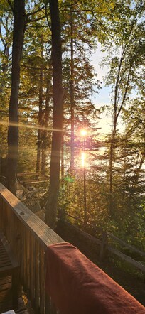 View from the back porch.