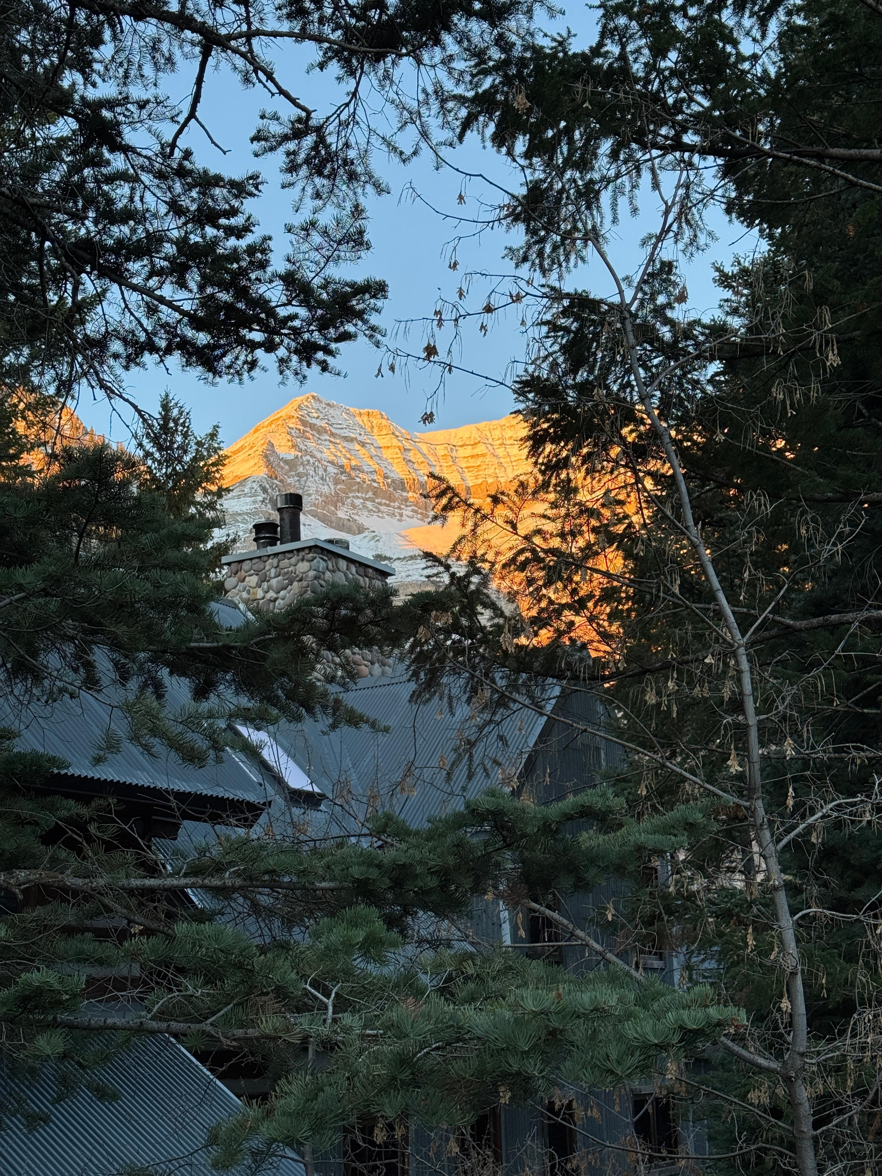 Morning view from the master bedroom