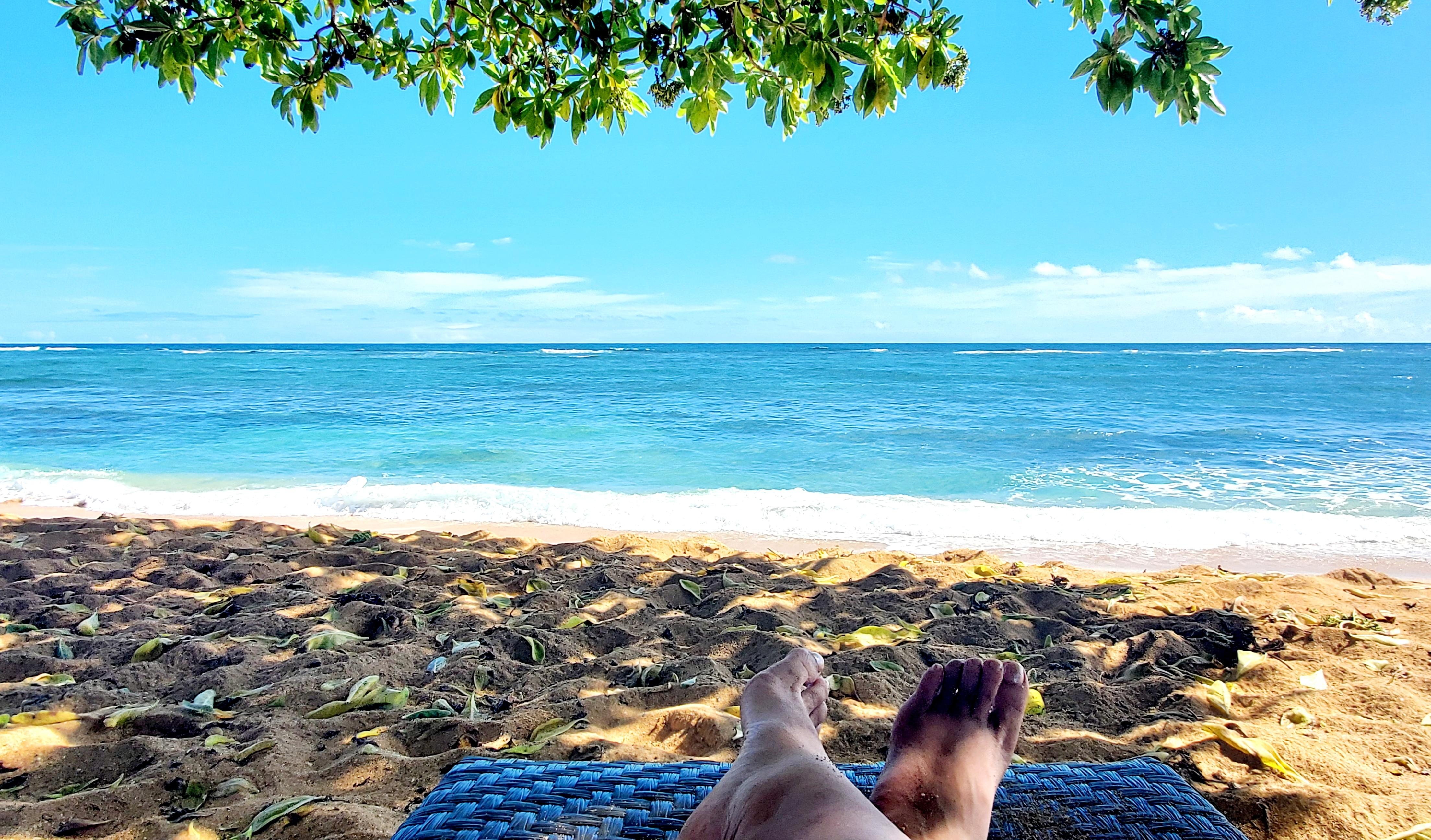 Perfect spot to chill