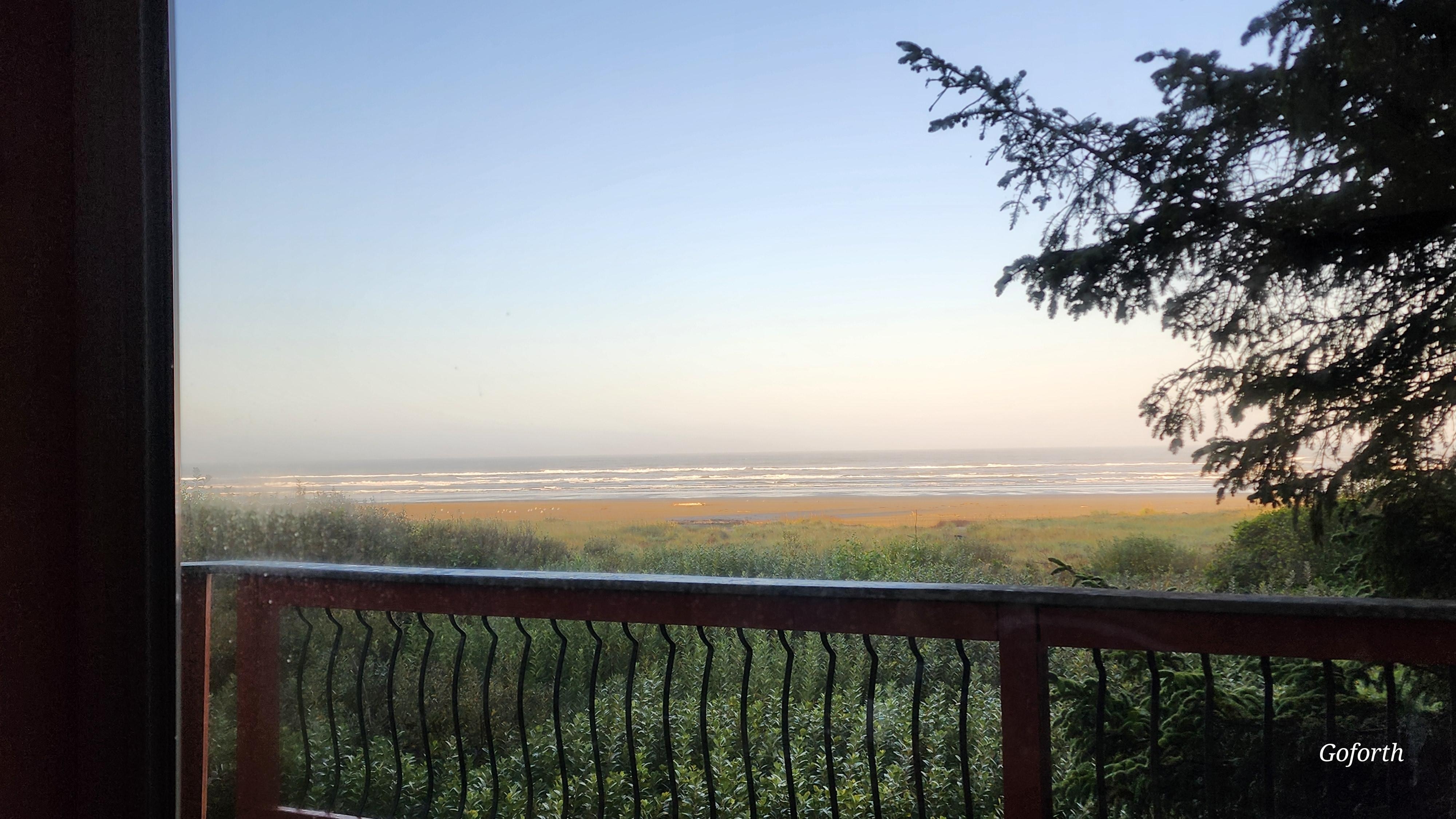 View from the living room in the morning