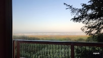View from the living room in the morning