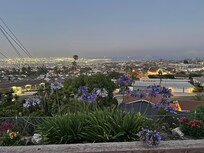 View of LA from the back porch