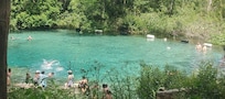 Springs at Itchetucknee North Entrance