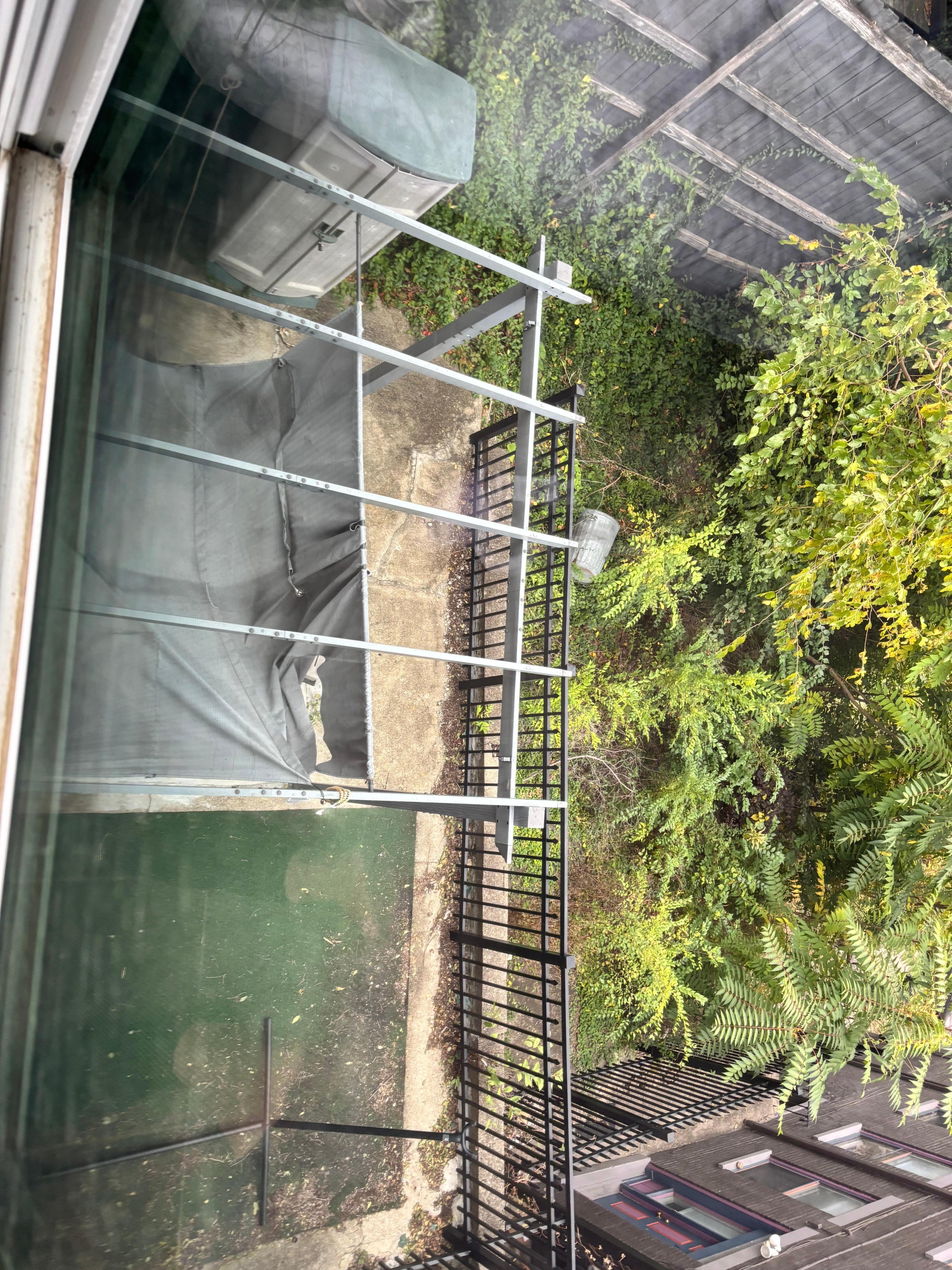 Canopy view from upstairs 