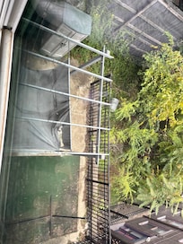 Canopy view from upstairs