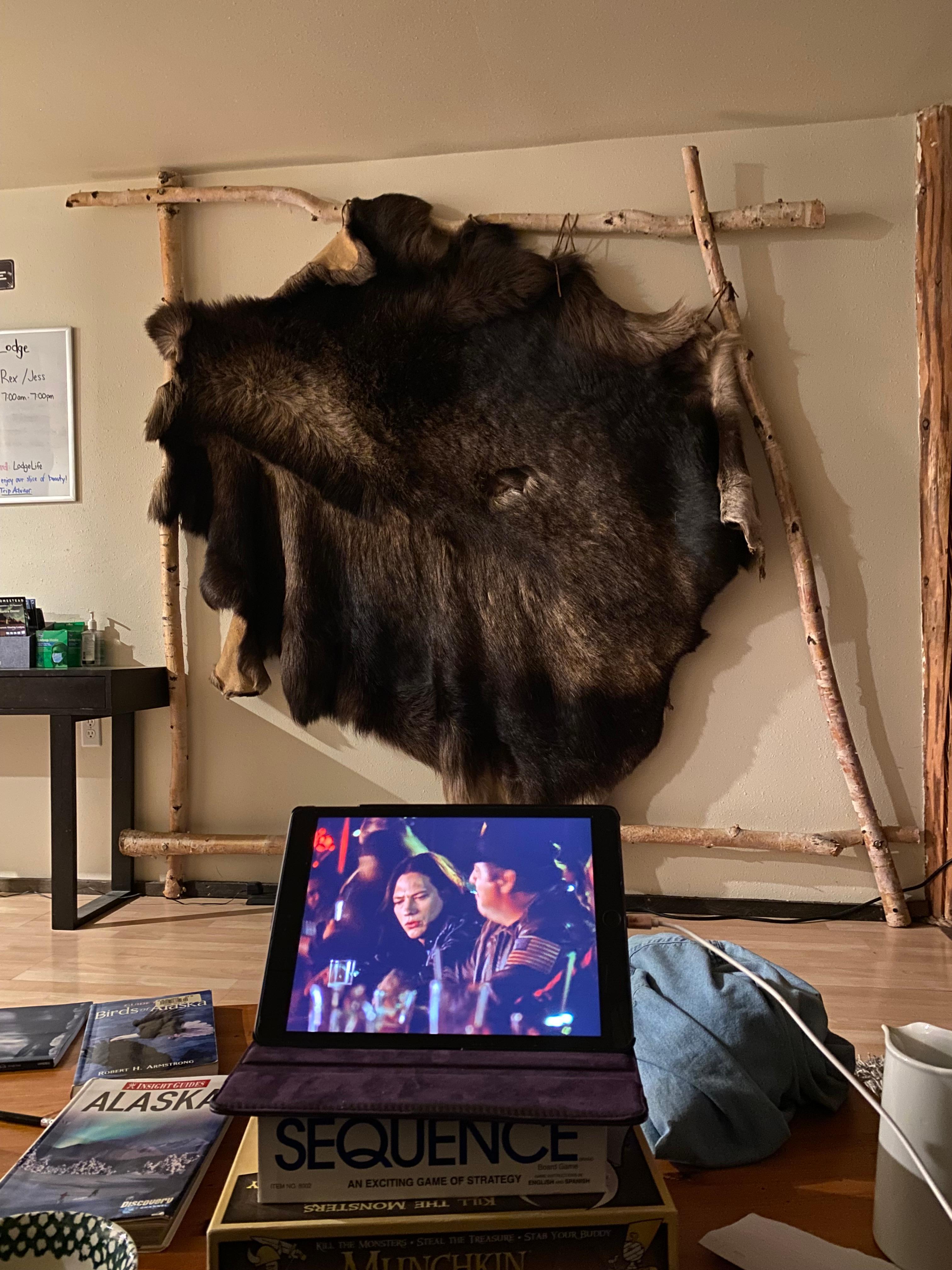 Watching Northern Exposure videos with moose hide in the background.