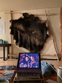 Watching Northern Exposure videos with moose hide in the background.