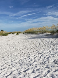Sea oats and a beautiful oasis, to hang your hat for the day within walking distance from house.